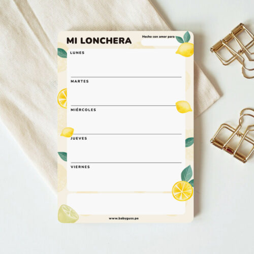 Planner Loncheras Imantado (Daisies/Limon/Avocado)