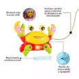 Cangrejo Caminador Interactivo-Tummy Time 3.3