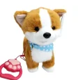 Mi-Primera-Mascota-Perrito-(Toby)