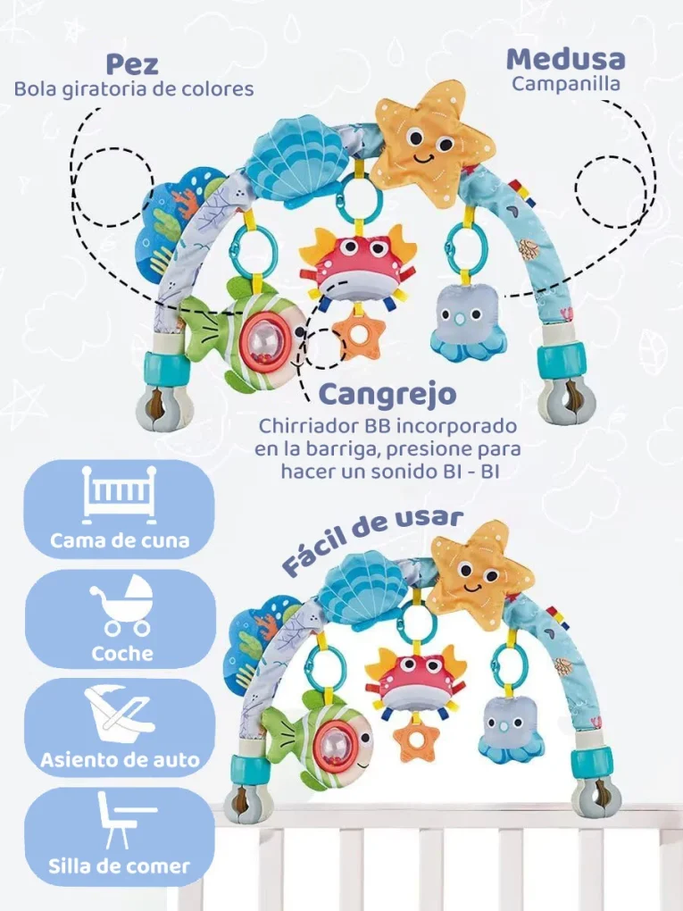 Arco de Coche Bibi Marino (2)