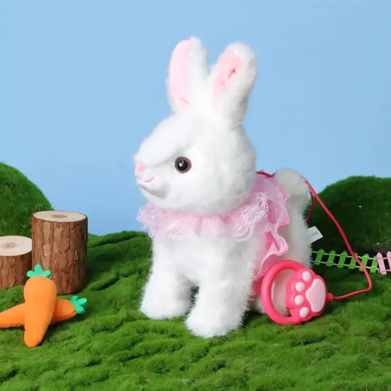 Mi Primer Conejito (5)